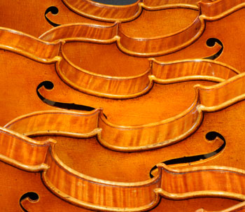 Multiple violins						
