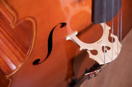 Handcrafted String Instruments